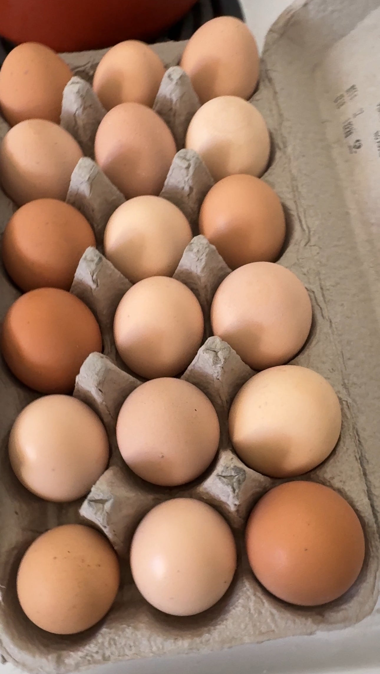 Dozen Of Farm Fresh Eggs
